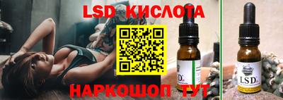 амф Сланцы